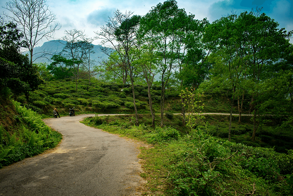 Mountain Tours & Treks