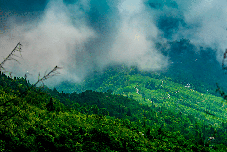 Mountain Tours & Treks