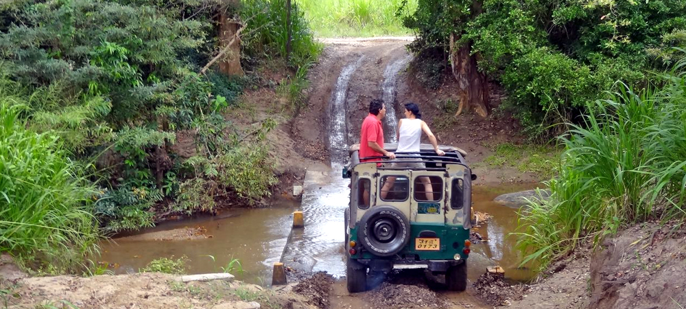 Mountain Tours & Treks