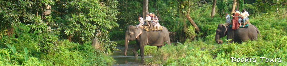 Mountain Tours & Treks